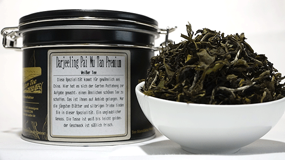 Darjeeling Pai Mu Tan Premium